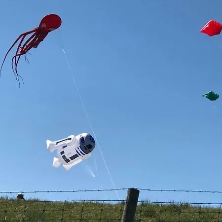 Prázdninový dům Deichkieker - #76265
